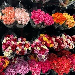 Meet your Posher, Tala